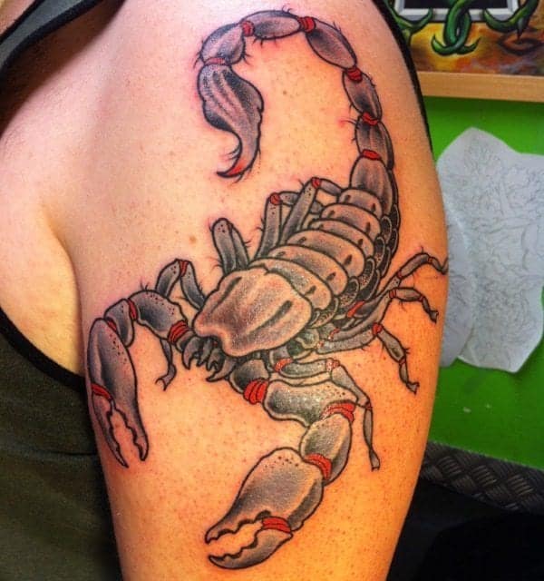51 Elegant Scorpion Tattoos On Shoulder  Tattoo Designs  TattoosBagcom